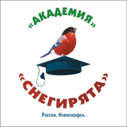 Академия `Снегирята`