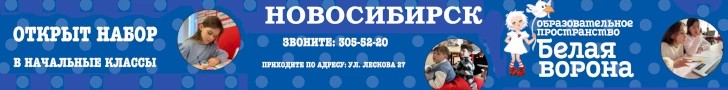 Белая Ворона ИП Карпинский десктоп сред. Новос-к авг-окт 2024