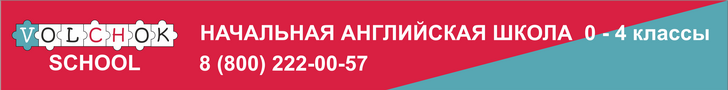 volchok ООО `ИНСАР` Питер с сентября 24 по август 25